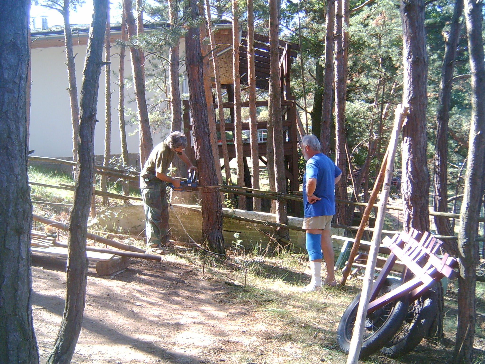 LPIC0002.JPG
