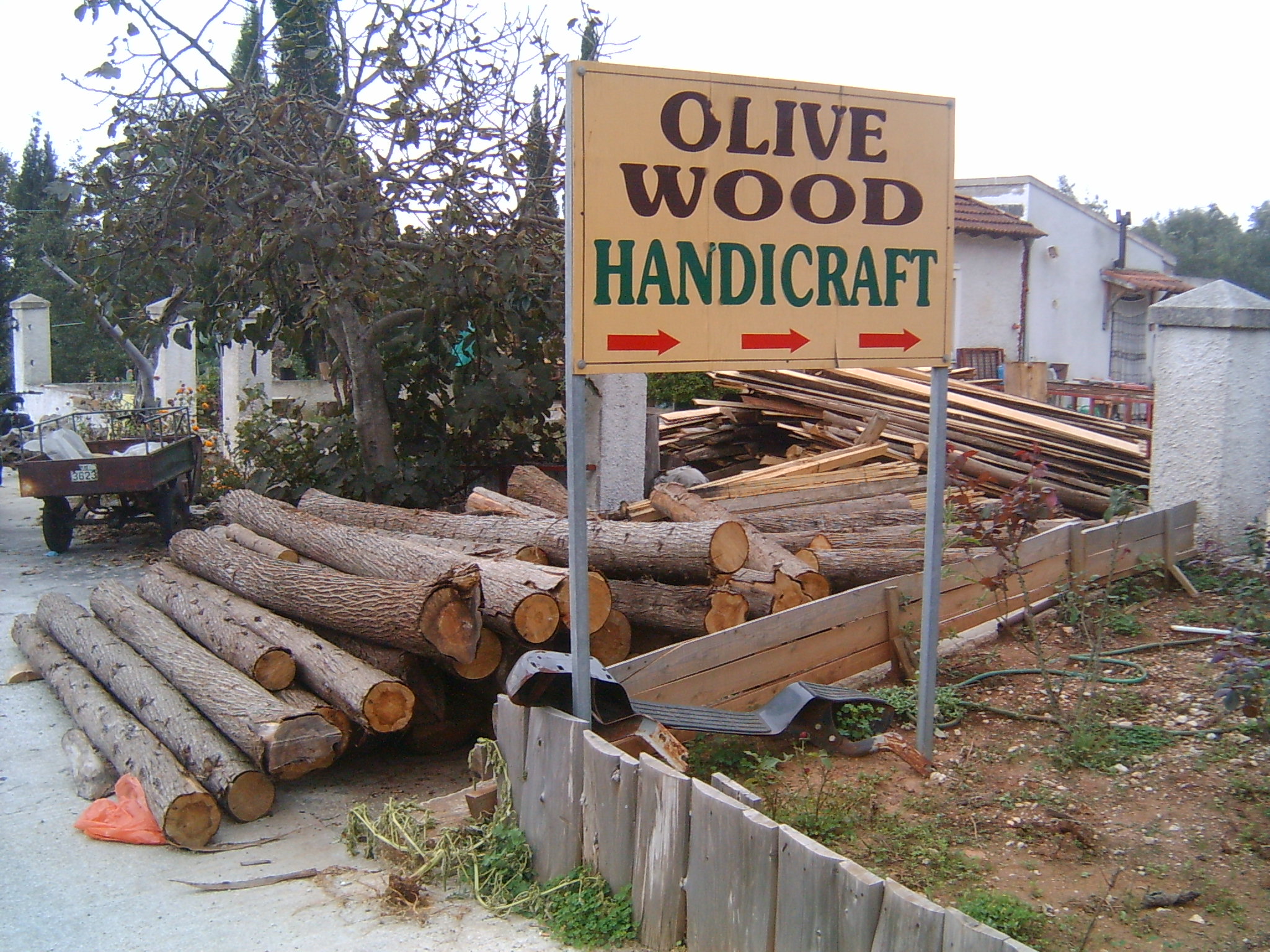 312_olive_wood.jpg