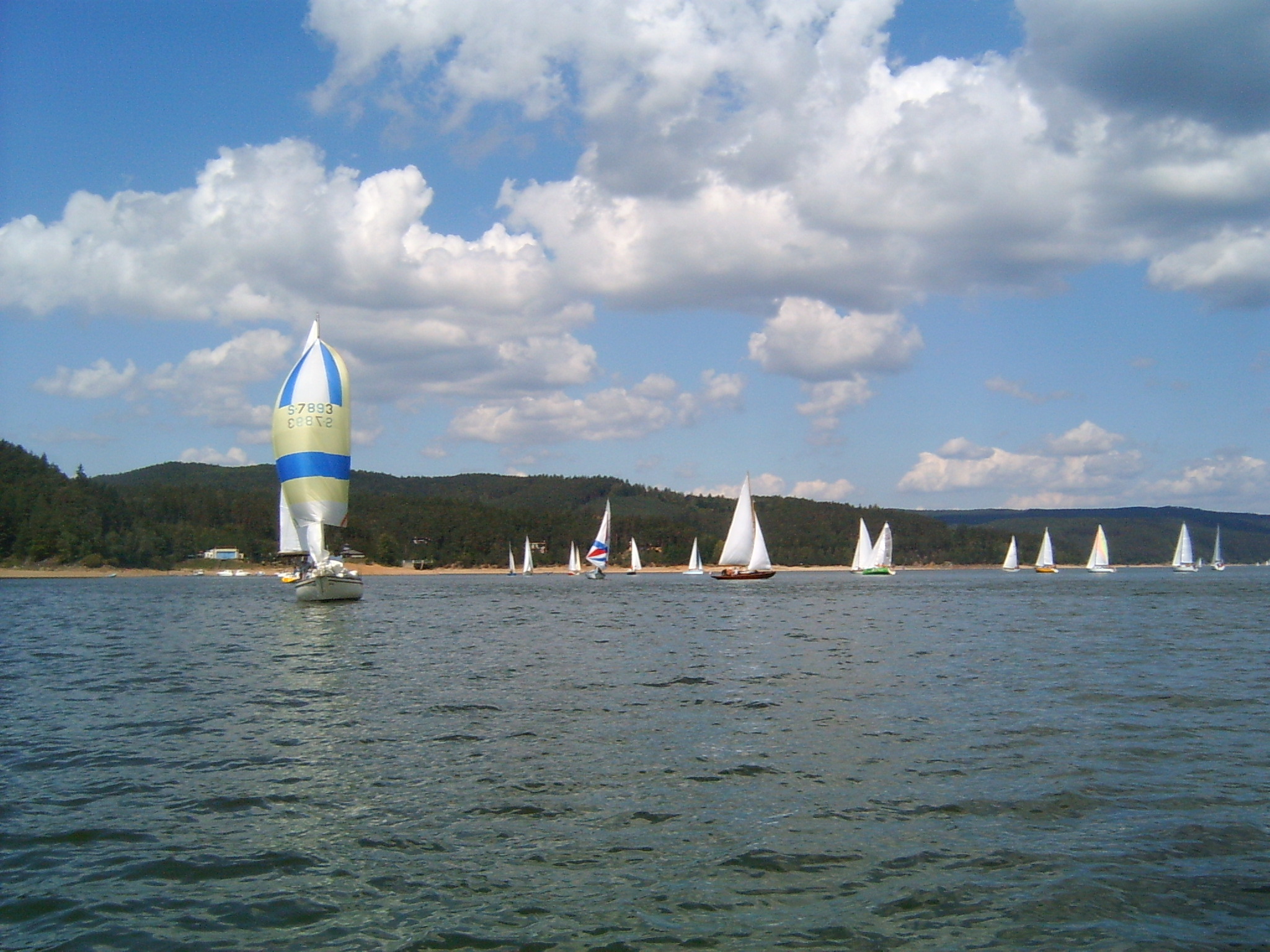 LPIC0023.JPG