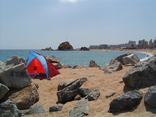 lpic0154.jpg