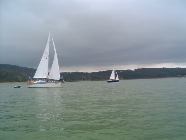 lpic0297.jpg